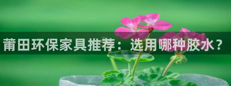 沐鸣2平台登陆地址