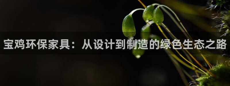 沐鸣2注册登入：宝鸡环保家具：从设计到制造的绿色生态之路