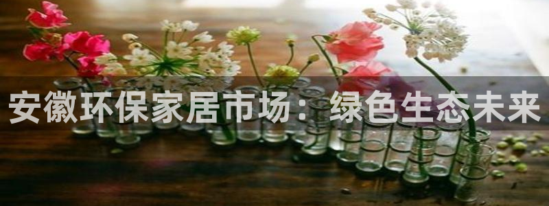 沐鸣2登陆网站：安徽环保家居市场：绿色生态未来