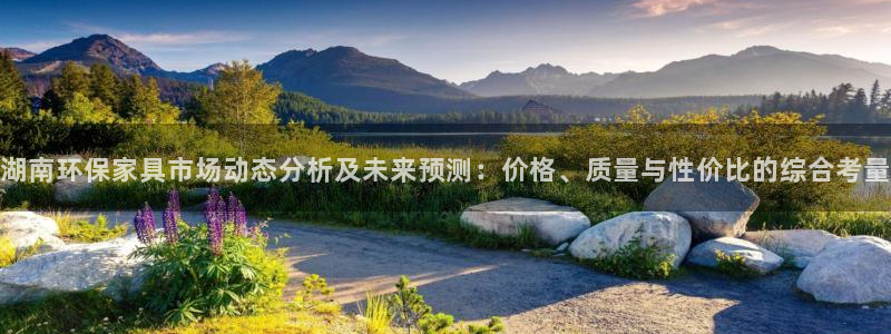 沐鸣2注册地址：湖南环保家具市场动态分析及未来预测：价格、质