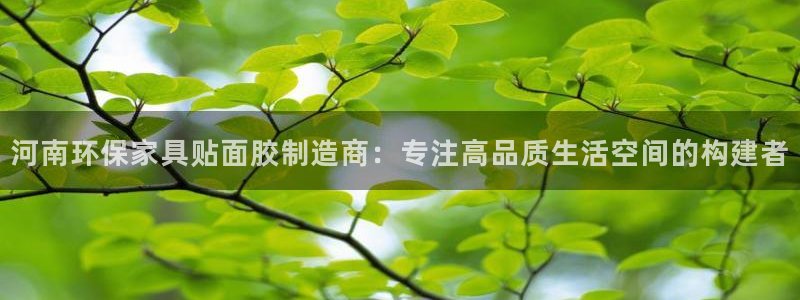 沐鸣2平台官方登陆：河南环保家具贴面胶制造商：专注高品质生活
