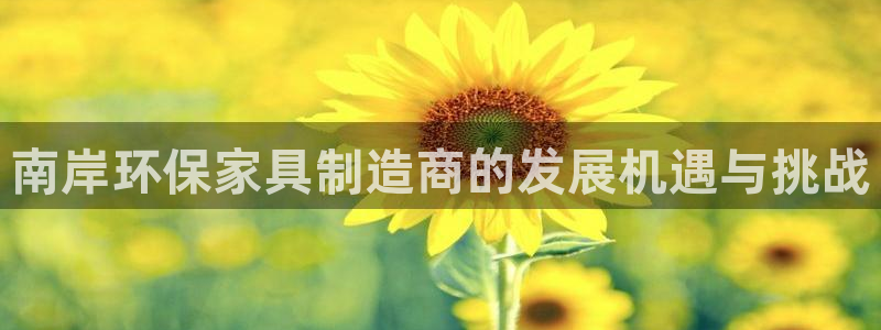 沐鸣2平台的专用通道：南岸环保家具制造商的发展机遇与挑战