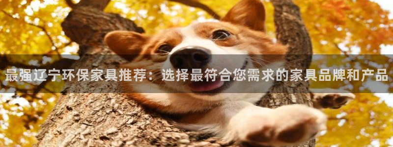沐鸣2测速娱乐