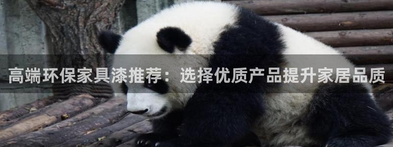 沐鸣2平台靠谱吗：高端环保家具漆推荐：选择优质产品提升家居品