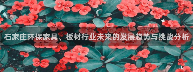 沐鸣2官网游戏：石家庄环保家具、板材行业未来的发展趋势与挑战