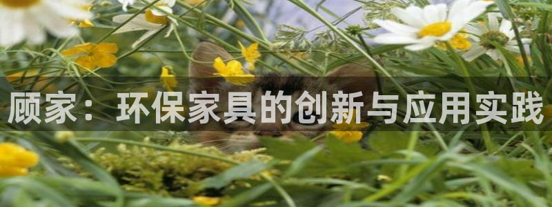 沐鸣2开户app下载：顾家：环保家具的创新与应用实践