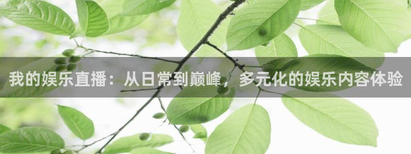 飞速体育直播无插件：我的娱乐直播：从日常到巅峰，多元化的娱乐内容体验