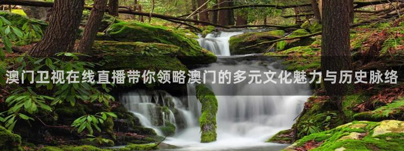 飞速体育在线直播：澳门卫视在线直播带你领略澳门的多元文化魅力与历史脉络