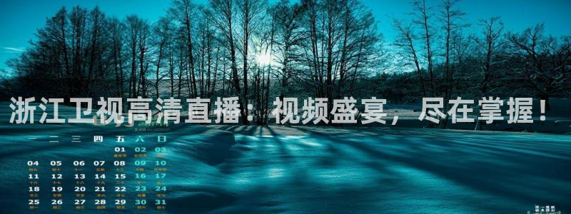 飞速直播nba无插件：浙江卫视高清直播：视频盛宴，尽在掌握！