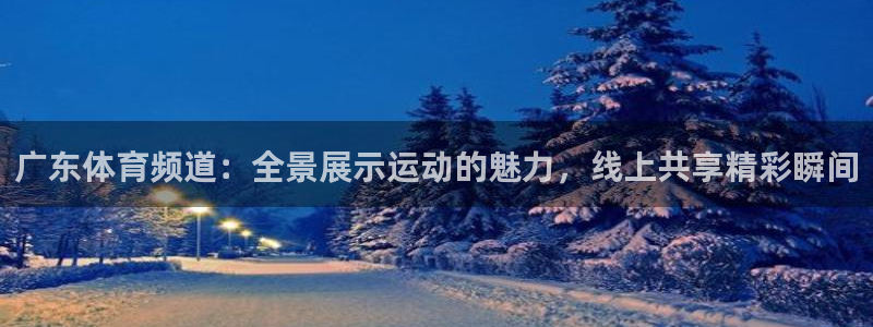 极速体育飞速直播：广东体育频道：全景展示运动的魅力，线上共享精彩瞬间