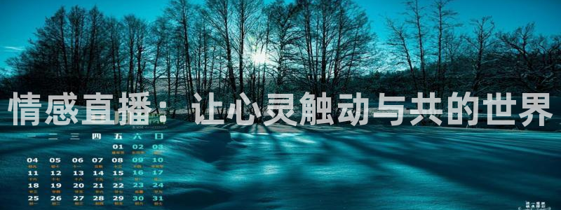 飞速体育直播nba：情感直播：让心灵触动与共的世界