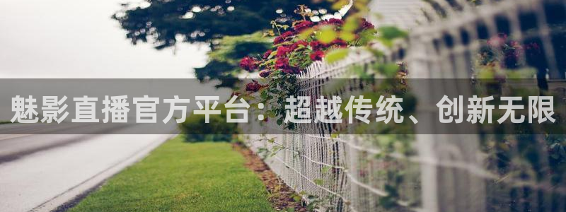 飞速足球直播吧：魅影直播官方平台：超越传统、创新无限
